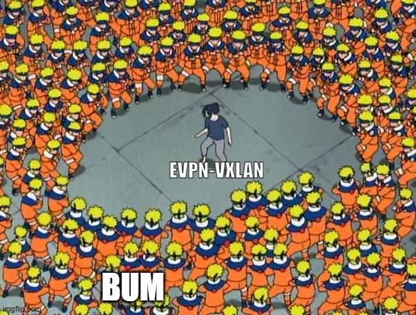 BUM in the EVPN-VXLAN